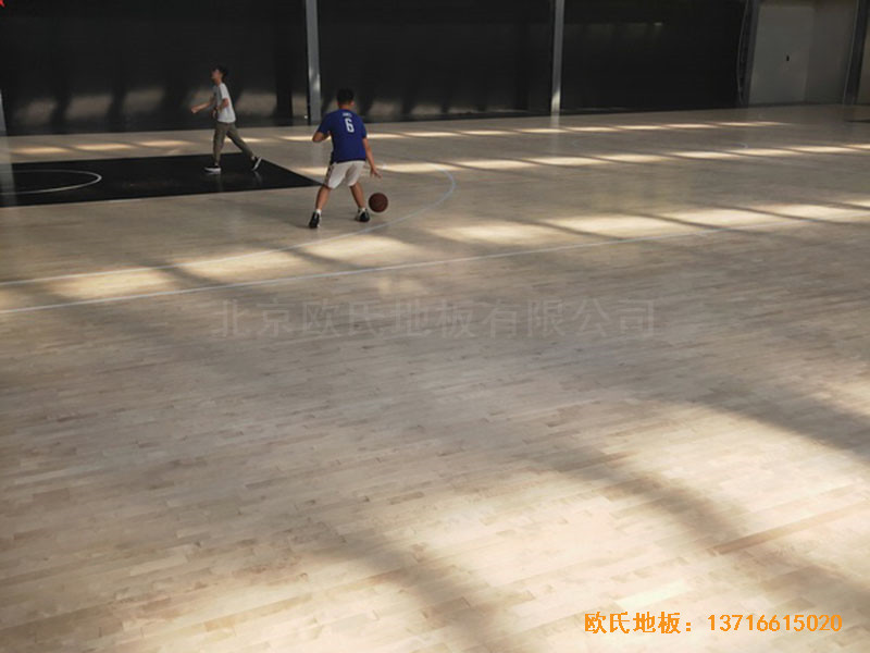 南陽驕陽體育籃球俱樂部體育木地板安裝案例3