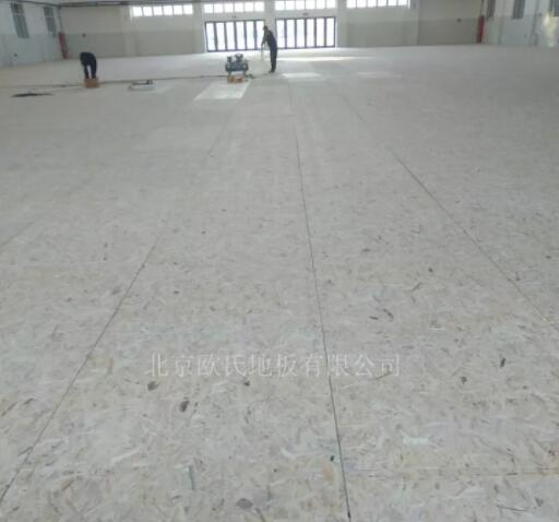 山東德州臨邑首要中學(xué)體育館木地板成功案例 山東德州臨邑首要中學(xué)體育館木地板成功案例