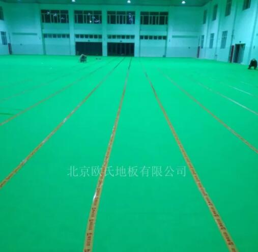 山東德州臨邑首要中學(xué)體育館木地板成功案例 山東德州臨邑首要中學(xué)體育館木地板成功案例