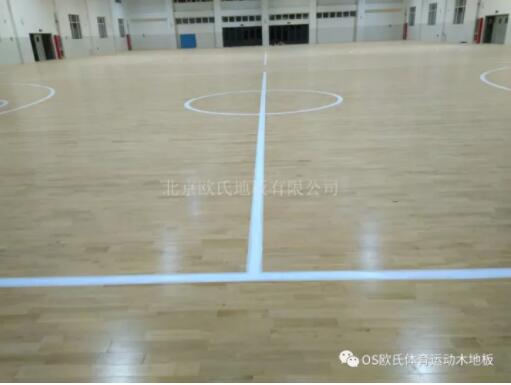 山東德州臨邑首要中學(xué)體育館木地板成功案例 山東德州臨邑首要中學(xué)體育館木地板成功案例